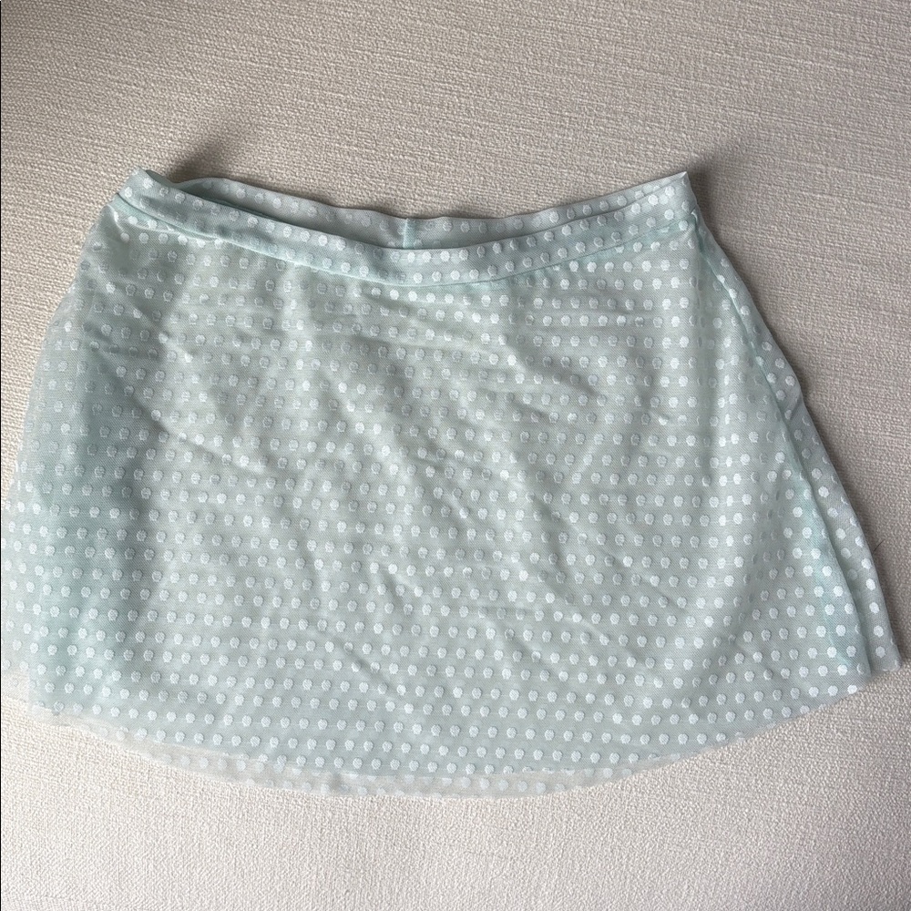 Eleve Swiss dot powder blue ballet skirt
